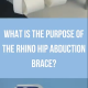 What is the purpose of the brace (Rhino)